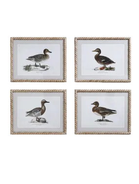 Duck Print Wall Art 16 x 20